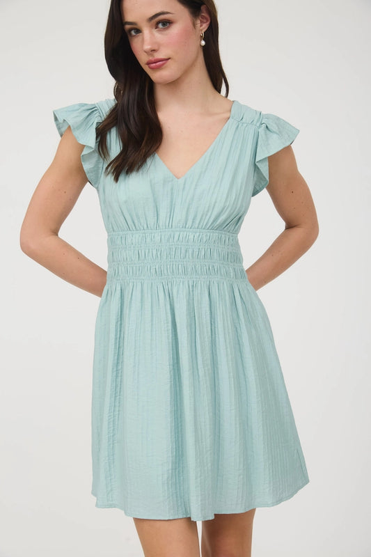 V Neck Shirred Waist Ruffle Sleeve Mini Dress
